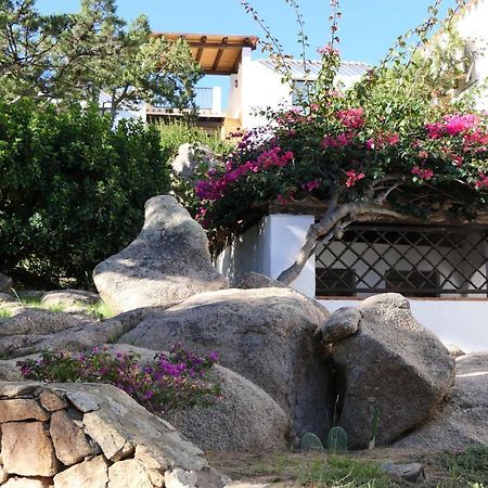 Residence Con Piscina A Liscia Di Vacca, 350 Mt Dal Mare, 3 Km Da Porto Cervo Zewnętrze zdjęcie